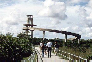 The Observation Tower at the midway point of Shark Valley