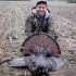 Great Tips about Turkey Blinds and Decoys