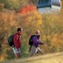 Tips for Viewing the Incredible New England Fall Foliage…