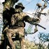 Great Tips for the Novice Deer Hunter