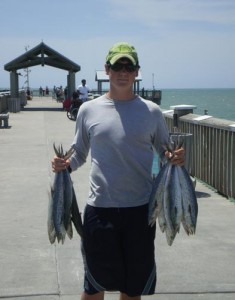 Spanish Mackerel