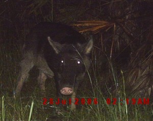 Photo taken at Spirit-of-the-wild by the Outdoors Guy