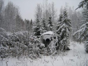 Match the environment for concealment