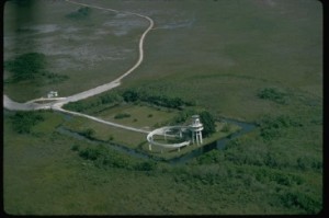sharkvalley1