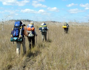 Open Prairie on Florida Trail Open Prairie on Florida Trail