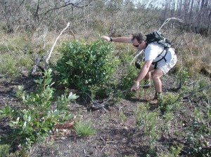 The Outdoors Guy in Three Lakes WMA