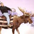 Visiting Alaska in the Winter!