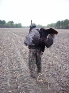 Noah Turkey Wild Turkey Hunting