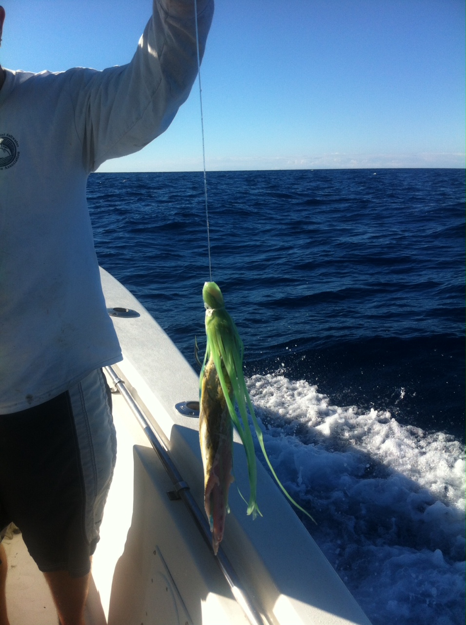 how to catch swordfish The Outdoors Guy