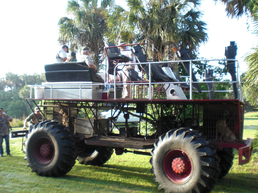 South Florida Hog Hunt | The Outdoors Guy